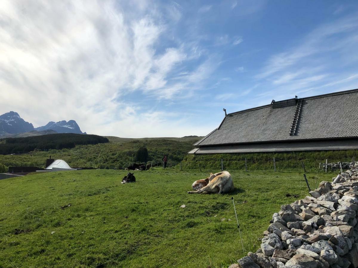Lofotr Overnatting Bostad Buitenkant foto